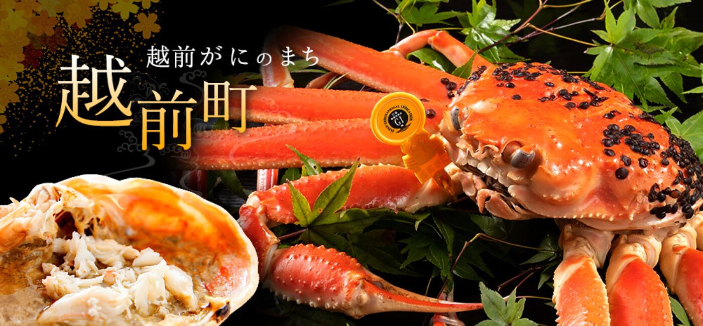 越前がに 旅館 越前がに 旅館